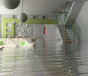 Plantation Restoration Company Plantation, FL 954-621-2753 Plantation Restoration Company Plantation, FL 954-621-2753